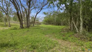 Hallettsville, TX 77964