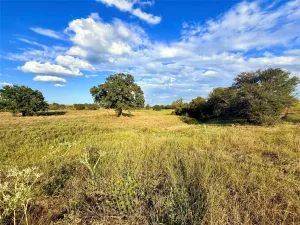 Jacksboro, TX 76458