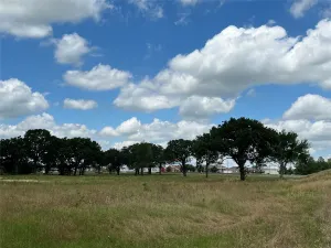 Sulphur Springs, TX 75482