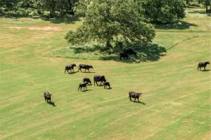 Flower Mound, TX 75022