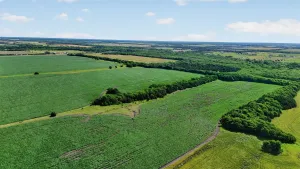 Greenville, TX 75401