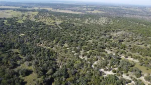 Carlton, TX 76436