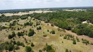 Terrell, TX 75161