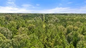Sour Lake, TX 77659