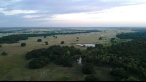 Wills Point, TX 75169