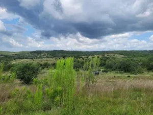 Marble Falls, TX 78654