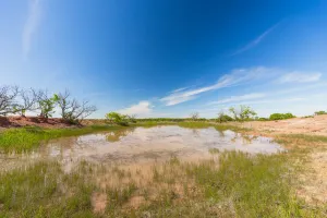 Coleman, TX 76834