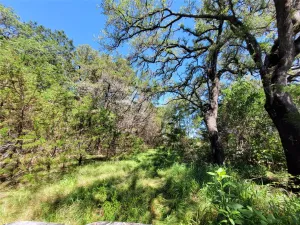 Lampasas, TX 76550