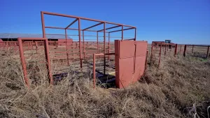 Petrolia, TX 76377