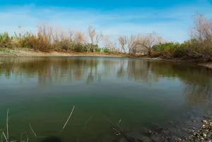 Coupland, TX 78615
