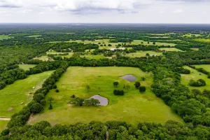 Wills Point, TX 75169