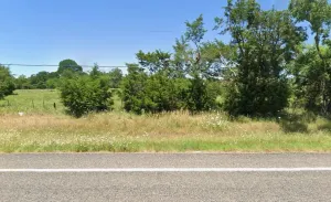 Greenville, TX 75401