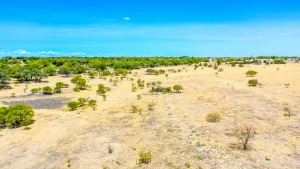 Cresson, TX 76035