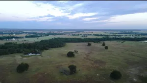 Wills Point, TX 75169
