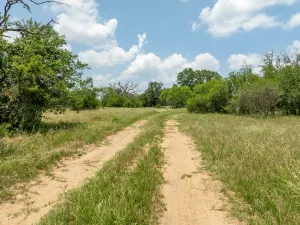 Jonesboro, TX 76538