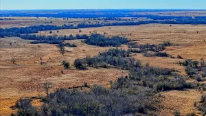 Petrolia, TX 76377