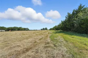 Farmersville, TX 75442