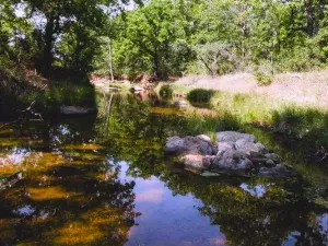 Gorman, TX 76454