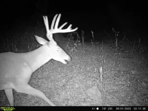 Whitesboro, TX 76273