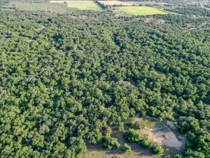 Carbon, TX 76435