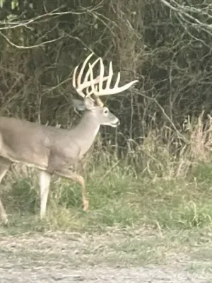 Scurry, TX 75158