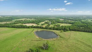 Honey Grove, TX 75446