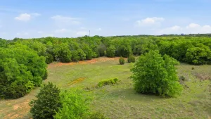 Azle, TX 76020