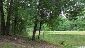 Kerens, TX 75144