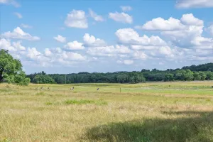 Purmela, TX 76566