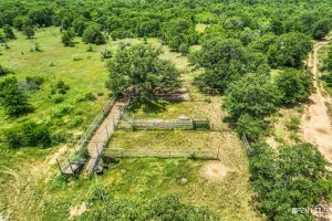 Bowie, TX 76230