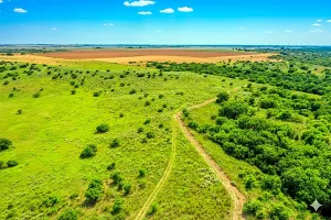 Harrold, TX 76364
