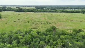 Mabank, TX 75147