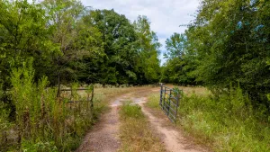 Pittsburg, TX 75686