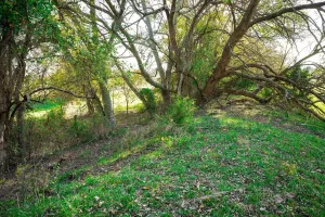 Princeton, TX 75047