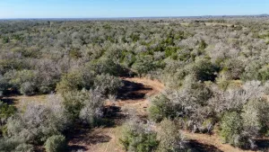 Gonzales, TX 78632