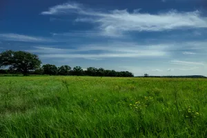 Henrietta, TX 76230