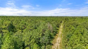 Sour Lake, TX 77659