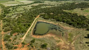 Coleman, TX 76834