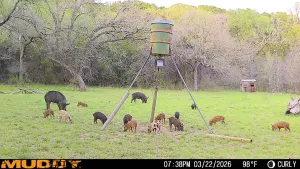 Graford, TX 76449