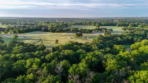 Alvord, TX 76225