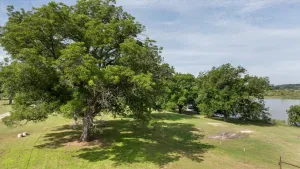 Granbury, TX 76049
