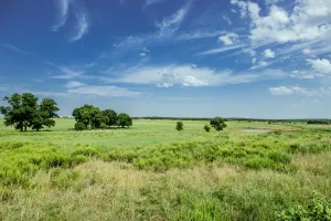 Henrietta, TX 76230