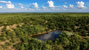 Caddo, TX 76429