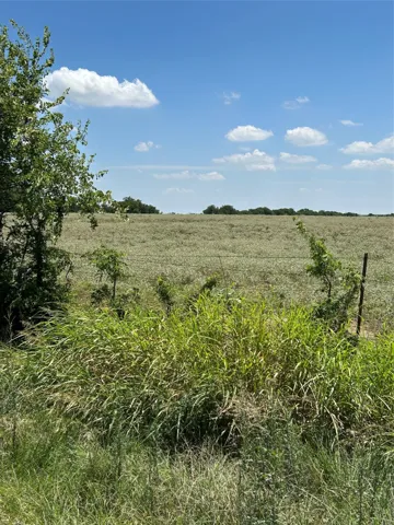 Tioga, TX 76271