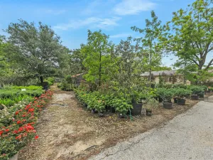 Southlake, TX 76092