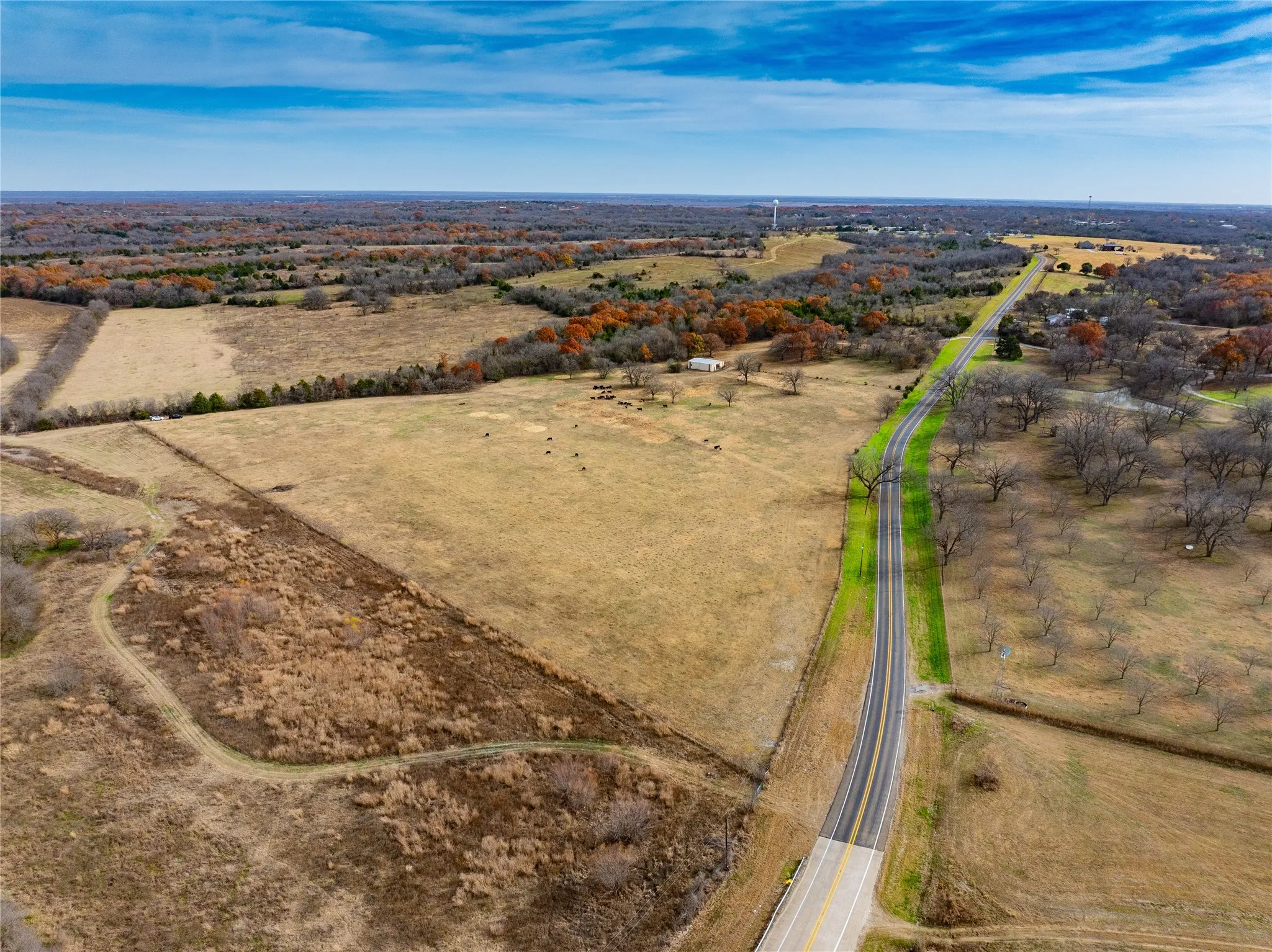 Bristol, TX 75119
