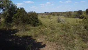 Dawson, TX 76639