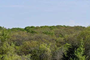 Decatur, TX 76234