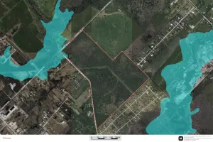 Terrell, TX 75160