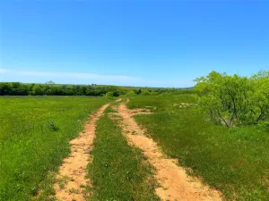 Bowie, TX 76230